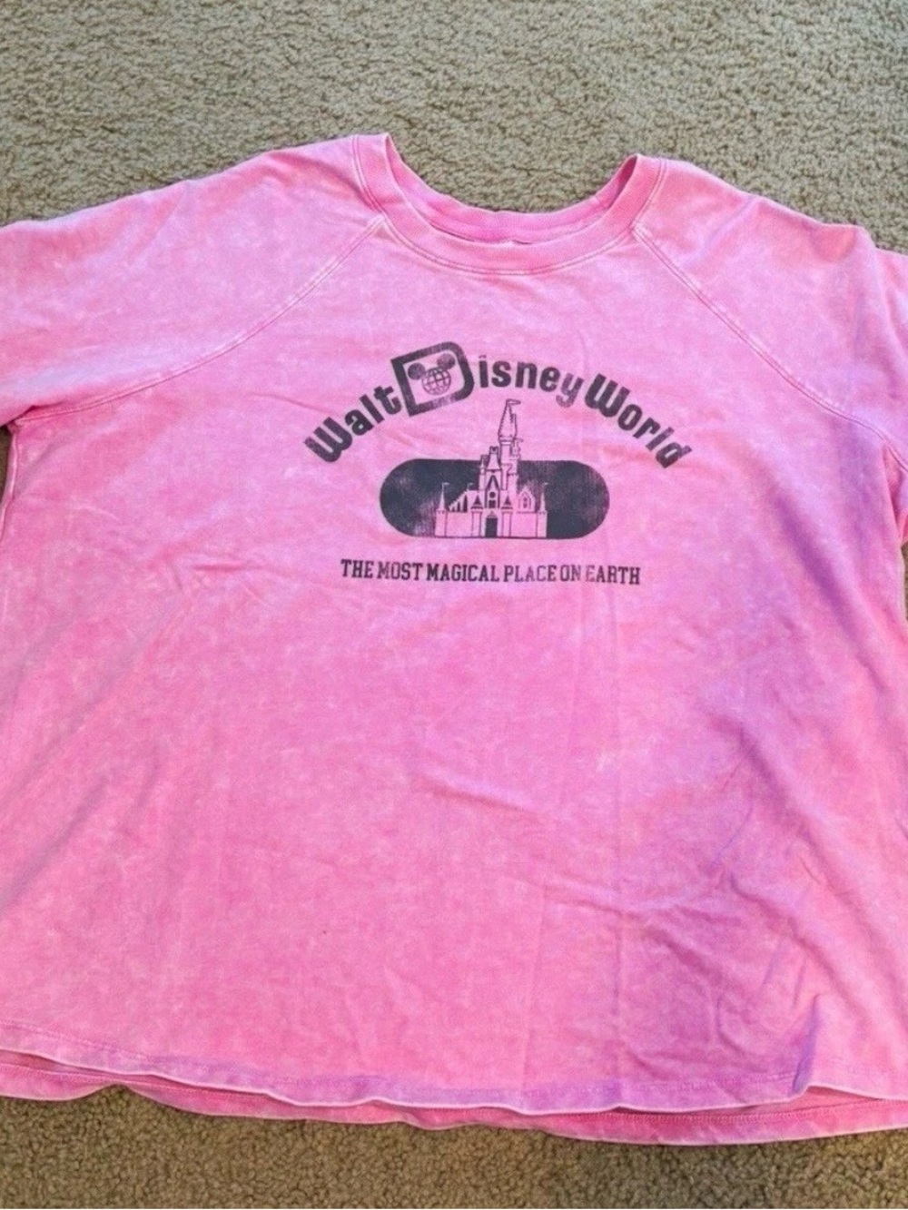 Disney Pink Long Sleeve Pullover with Castle Logo